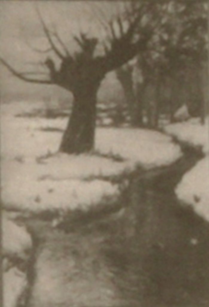 wizerunek dla obiektu: Pejzaż zimowy (Pejzaż w śniegu, Zima)