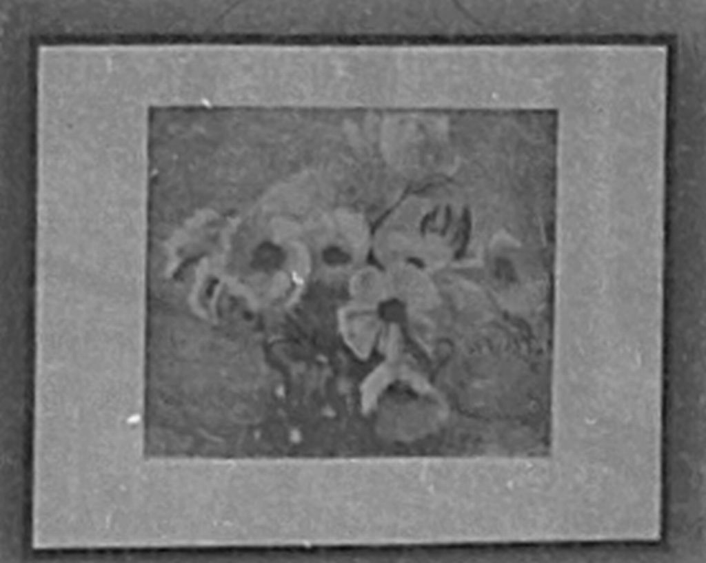 wizerunek dla obiektu: Anemony